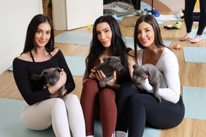 Puppy Yoga Adelaide: A Lively Morning with English Staffy Puppies – 9 November 2025 at Centred Ground Bowden