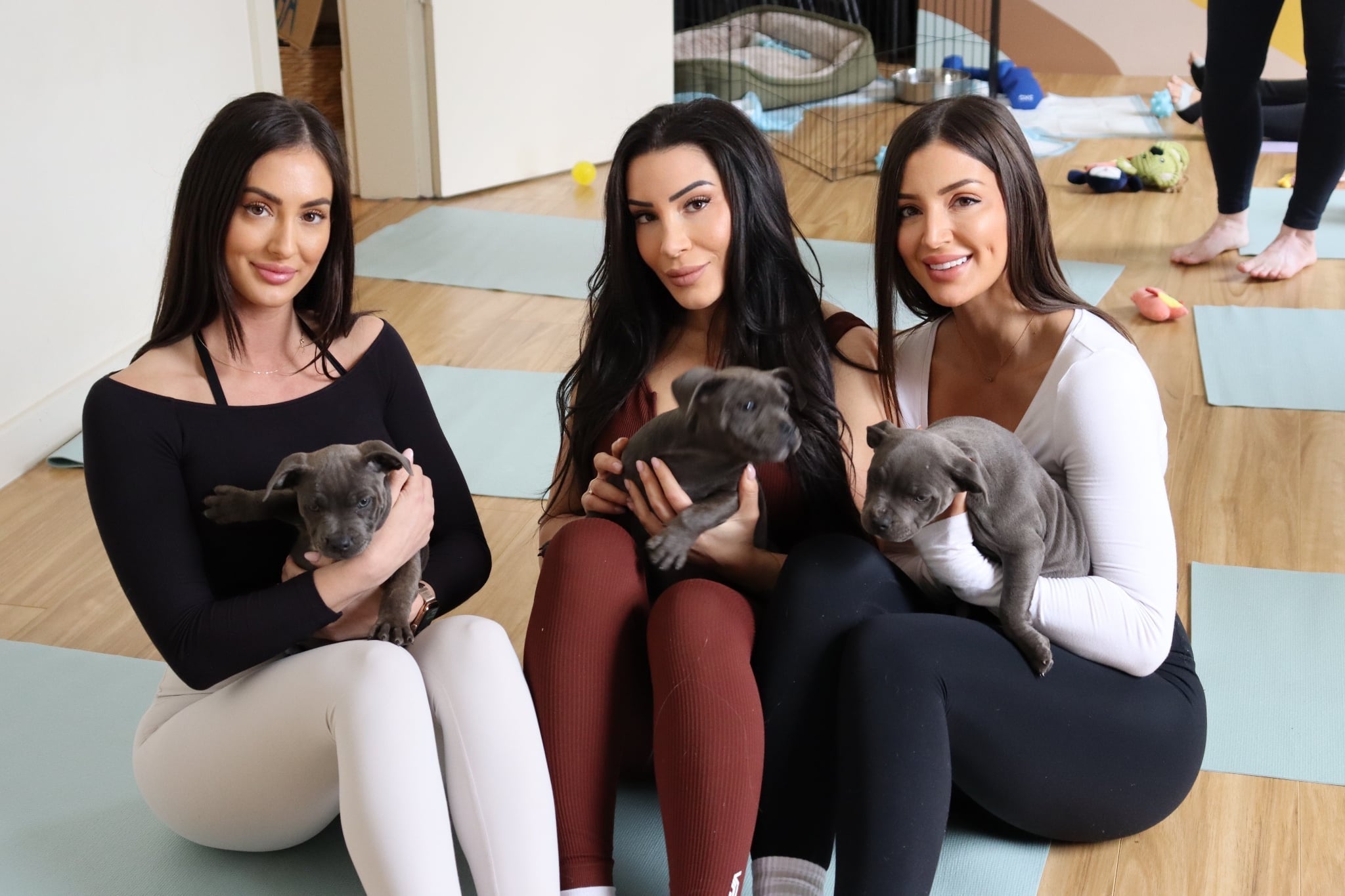 Puppy Yoga - Bowden (1 Hour Session)