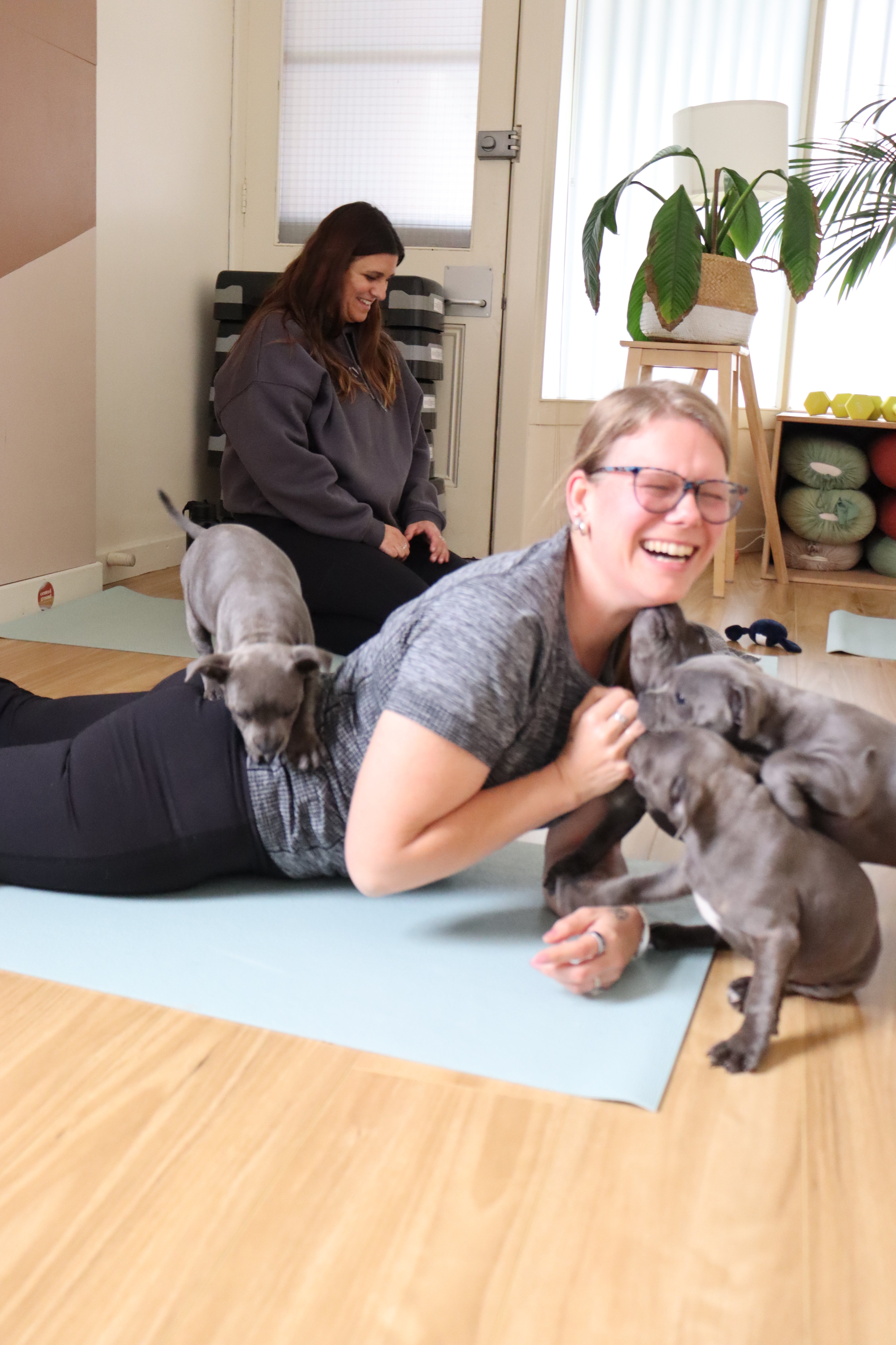 Puppy Yoga - Adelaide (1 Hour Session)