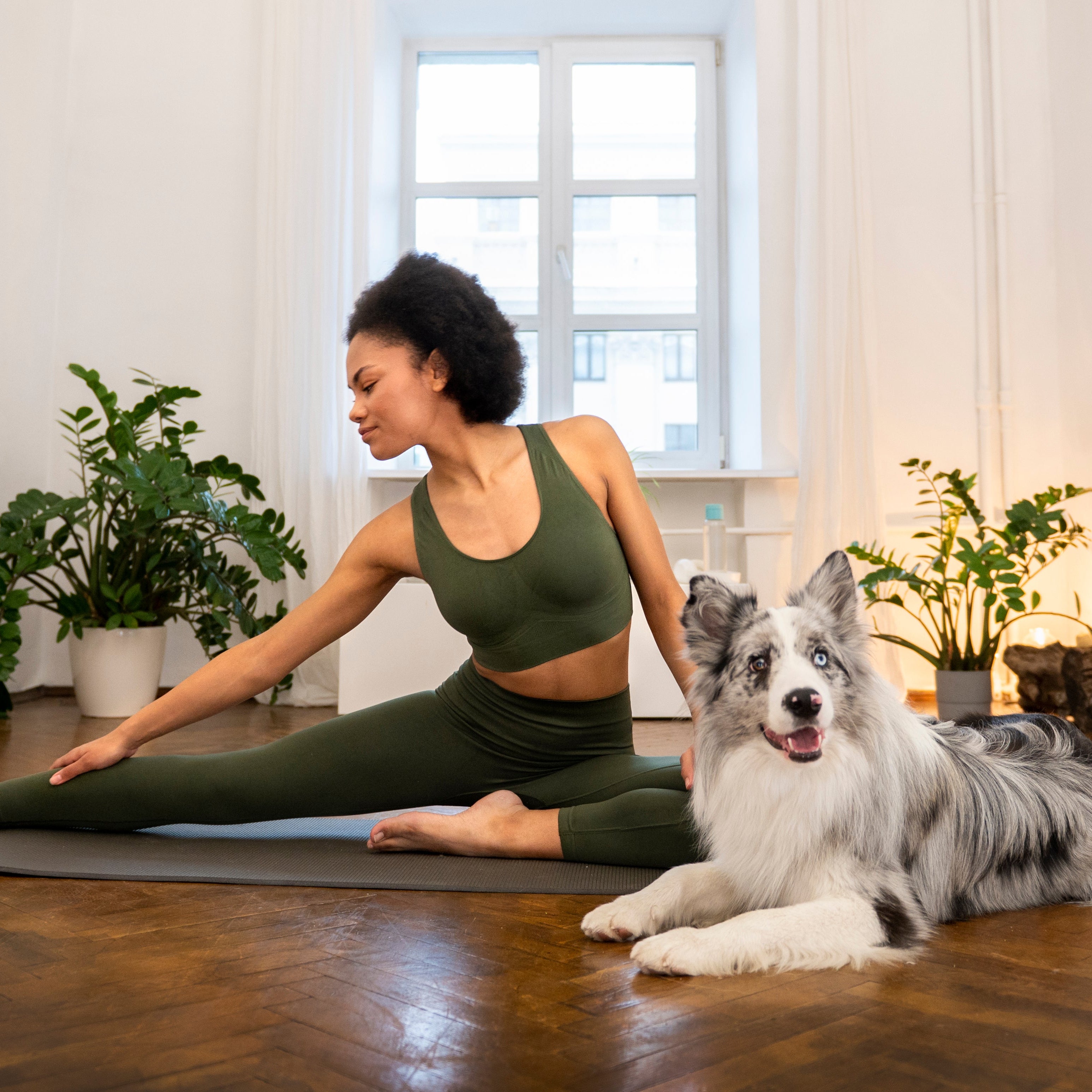 Puppy Yoga - Adelaide (1 Hour Session)