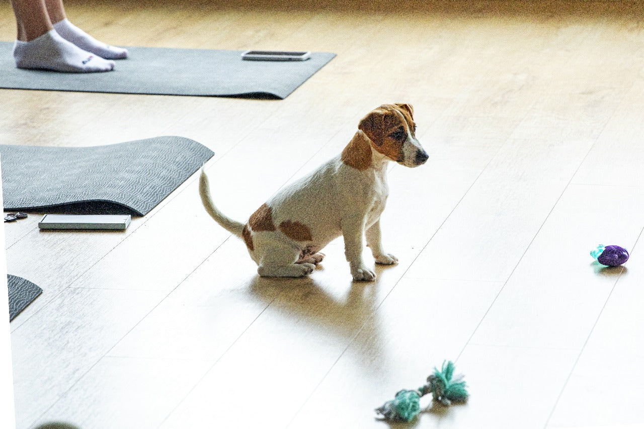 UNFORGETTABLE EXPERIENCE