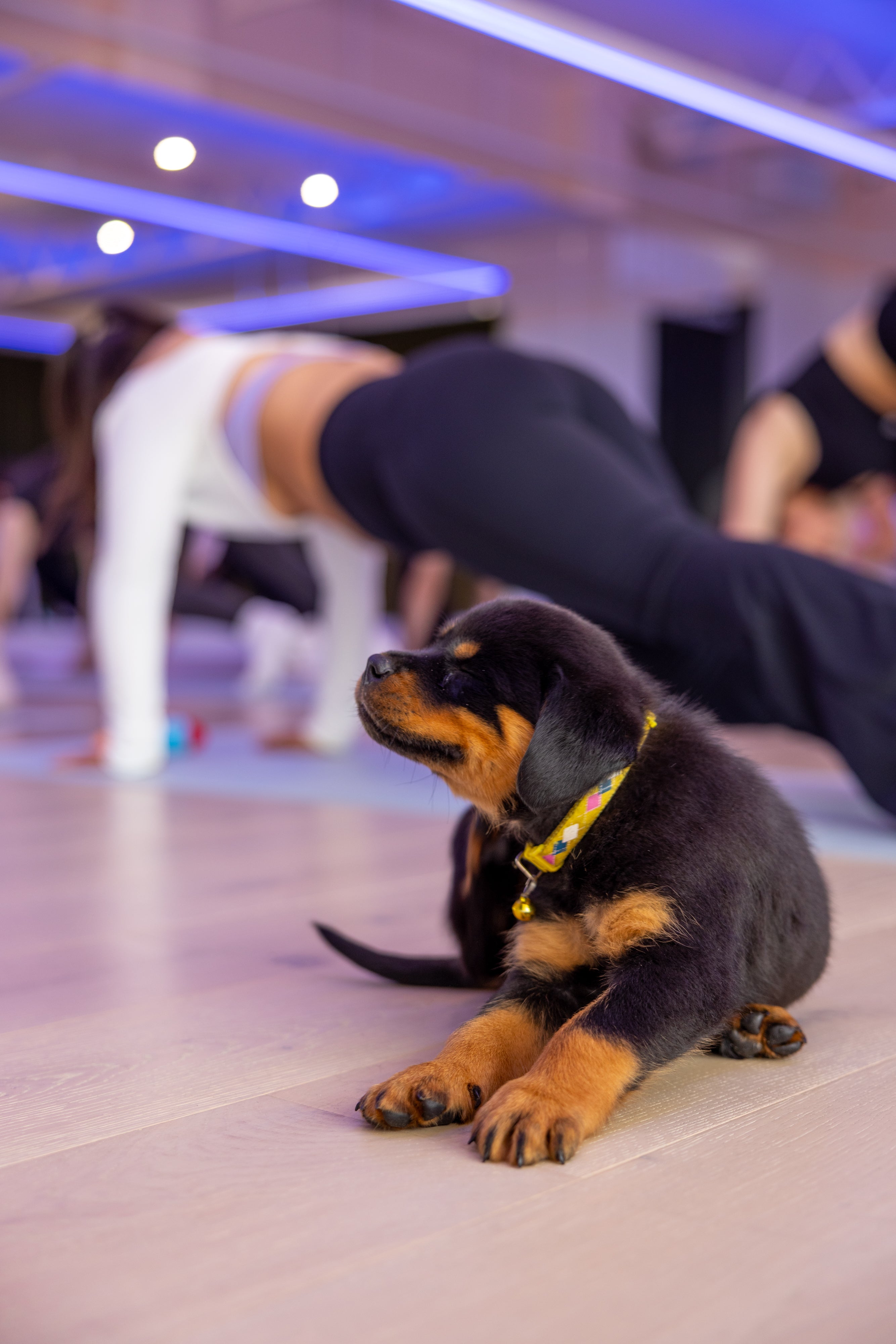 15/02/2026 - Valentine’s Edition 💝